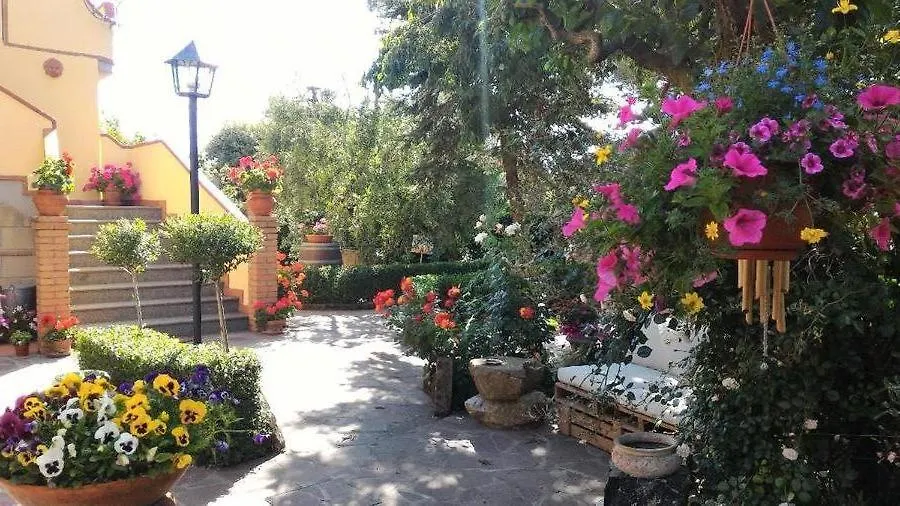 Bed And Breakfast Val Di Lupa Castellina Marittima 0*,